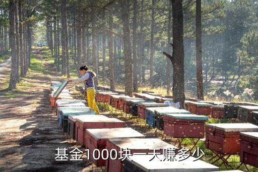 基金每天能賺多少錢(qián),基金1000塊一天賺多少