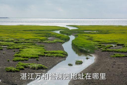 湛江萬和譽瀾園地址在哪里