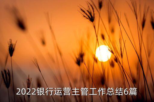 2022銀行運(yùn)營(yíng)主管工作總結(jié)6篇