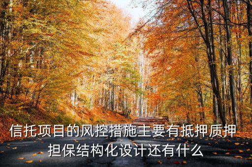 信托項目的風控措施主要有抵押質(zhì)押 擔保結(jié)構(gòu)化設計還有什么