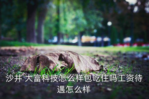 深圳市大富網(wǎng)絡技術(shù)有限公司