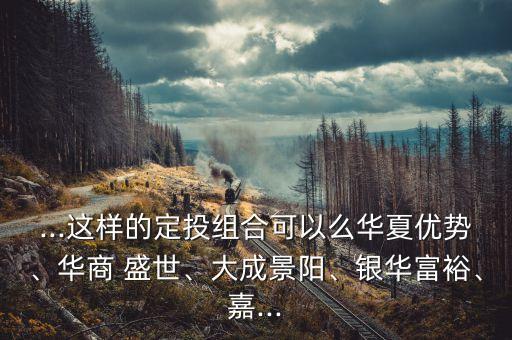 ...這樣的定投組合可以么華夏優(yōu)勢、華商 盛世、大成景陽、銀華富裕、嘉...