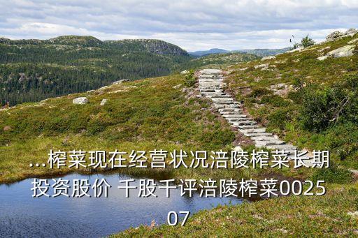 ...榨菜現(xiàn)在經(jīng)營狀況涪陵榨菜長期投資股價(jià) 千股千評涪陵榨菜002507