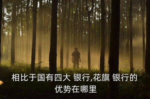 相比于國(guó)有四大 銀行,花旗 銀行的 優(yōu)勢(shì)在哪里