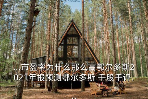 ...市盈率為什么那么高鄂爾多斯2021年報(bào)預(yù)測鄂爾多斯 千股千評...