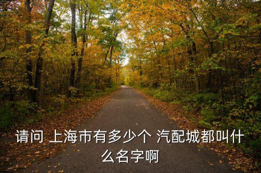 請(qǐng)問 上海市有多少個(gè) 汽配城都叫什么名字啊