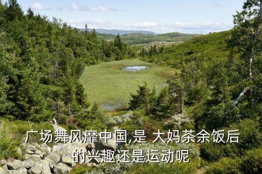  廣場舞風(fēng)靡中國,是 大媽茶余飯后的興趣還是運動呢