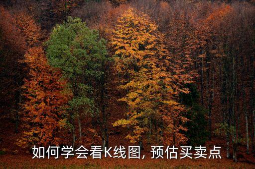 如何學(xué)會(huì)看K線(xiàn)圖, 預(yù)估買(mǎi)賣(mài)點(diǎn)