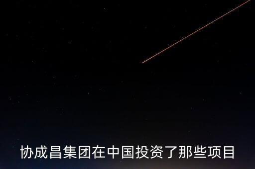 協(xié)成昌集團(tuán)在中國投資了那些項目