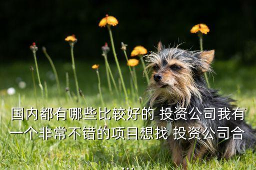 國內(nèi)都有哪些比較好的 投資公司我有一個非常不錯的項(xiàng)目想找 投資公司合...
