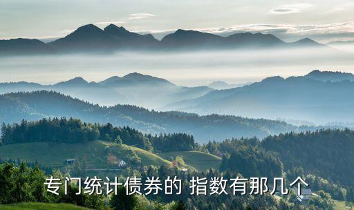 專(zhuān)門(mén)統(tǒng)計(jì)債券的 指數(shù)有那幾個(gè)