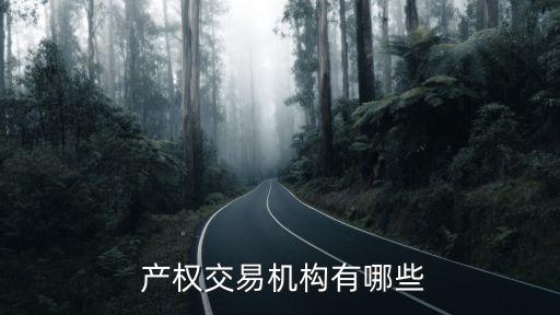 北京產(chǎn)權(quán)交易所收費標(biāo)準(zhǔn),上海聯(lián)合產(chǎn)權(quán)交易所收費標(biāo)準(zhǔn)
