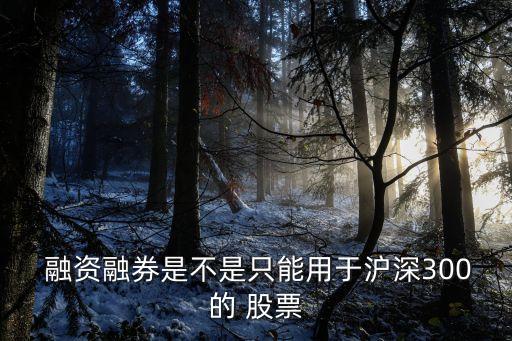 融資是否可以買(mǎi)任何股票
