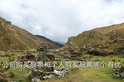 機(jī)構(gòu)個人投資收益,個人投資收益要交哪些稅