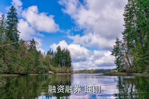 上海證券交易所證券上市審核實(shí)施細(xì)則
