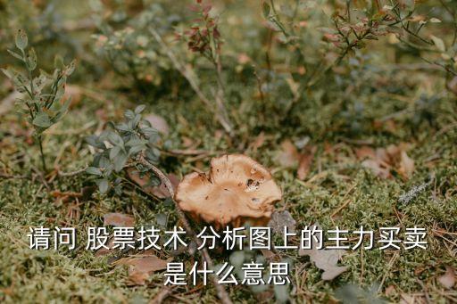 請(qǐng)問(wèn) 股票技術(shù) 分析圖上的主力買賣是什么意思