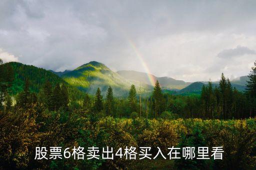  股票6格賣(mài)出4格買(mǎi)入在哪里看