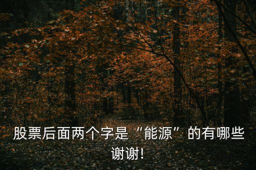  股票后面兩個字是“能源”的有哪些謝謝!