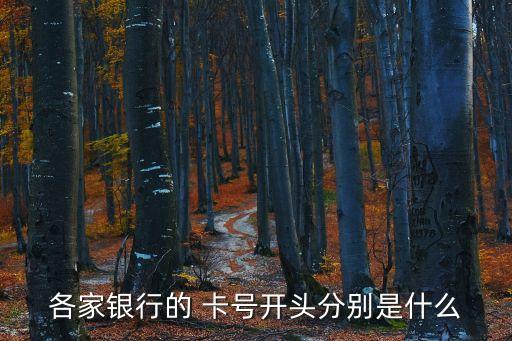 各家銀行的 卡號(hào)開頭分別是什么