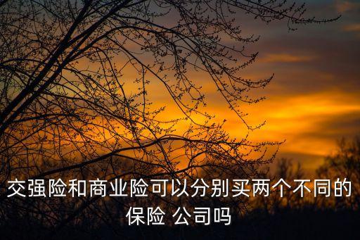 交強(qiáng)險(xiǎn)和商業(yè)險(xiǎn)可以分別買(mǎi)兩個(gè)不同的保險(xiǎn) 公司嗎