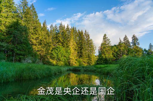 金茂是央企還是國(guó)企