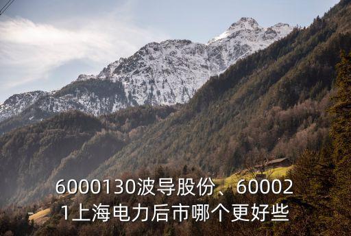 6000130波導(dǎo)股份、600021上海電力后市哪個更好些