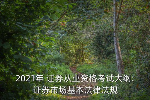 證券公司信息隔離墻制度指引要求,根據證券公司信息隔離墻制度指引的規(guī)定