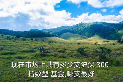 現在市場上共有多少支滬深 300 指數型 基金,哪支最好
