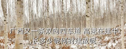  廣西又一條雙向四車道 高速在建中,長(zhǎng)多少呢何時(shí)建成呢