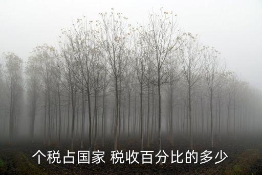 個(gè)稅占國家 稅收百分比的多少