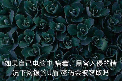 如果自己電腦中 病毒、黑客入侵的情況下網(wǎng)銀的U盾 密碼會(huì)被竊取嗎