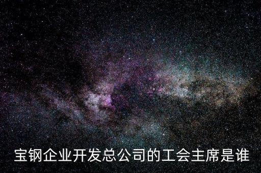  寶鋼企業(yè)開發(fā)總公司的工會(huì)主席是誰(shuí)