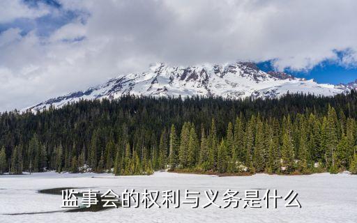  監(jiān)事會(huì)的權(quán)利與義務(wù)是什么