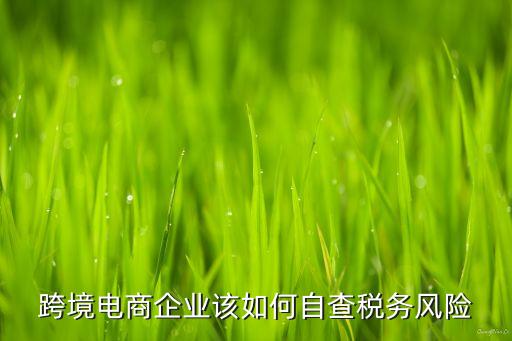 跨境電商企業(yè)該如何自查稅務(wù)風(fēng)險(xiǎn)