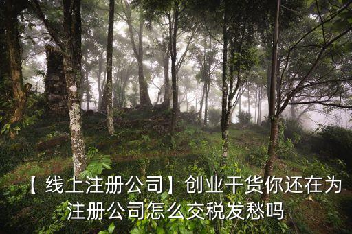 【 線(xiàn)上注冊(cè)公司】創(chuàng)業(yè)干貨你還在為注冊(cè)公司怎么交稅發(fā)愁嗎