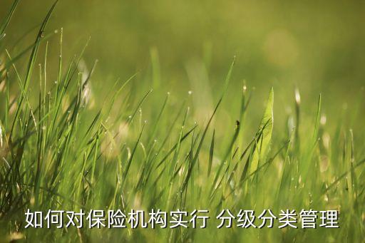 如何對保險機(jī)構(gòu)實(shí)行 分級分類管理
