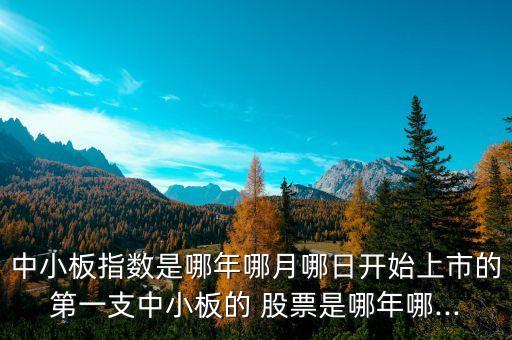 中小板指數(shù)是哪年哪月哪日開(kāi)始上市的第一支中小板的 股票是哪年哪...