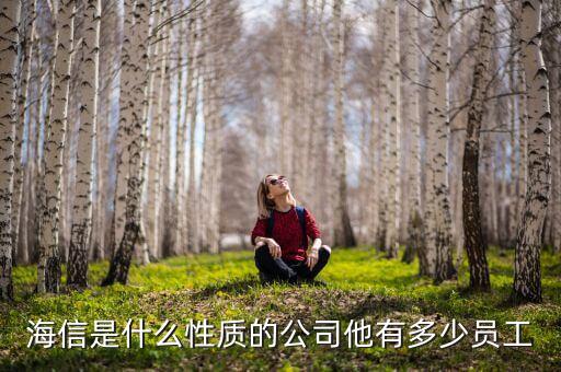 海信是什么性質的公司他有多少員工