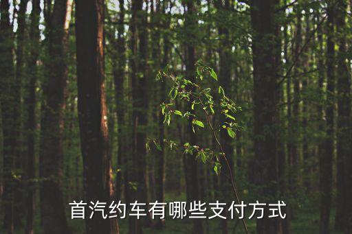 首汽集團(tuán)是國(guó)企嗎,北京首汽集團(tuán)股份有限公司是國(guó)企嗎
