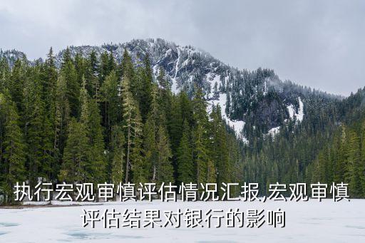 銀行執(zhí)行宏觀(guān)審慎評(píng)估情況匯報(bào),宏觀(guān)審慎評(píng)估結(jié)果對(duì)銀行的影響