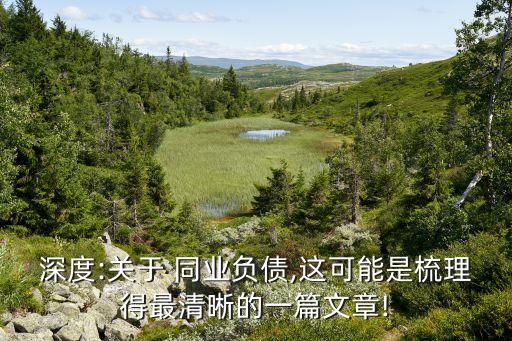 深度:關于 同業(yè)負債,這可能是梳理得最清晰的一篇文章!