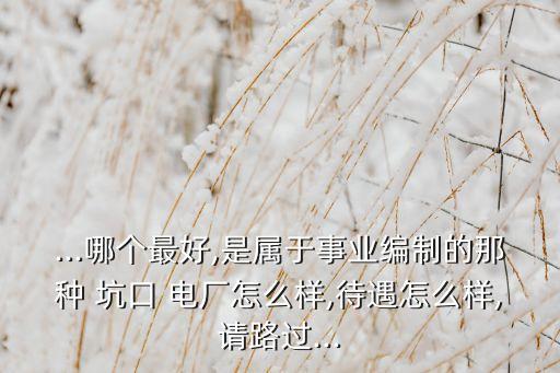 ...哪個(gè)最好,是屬于事業(yè)編制的那種 坑口 電廠(chǎng)怎么樣,待遇怎么樣,請(qǐng)路過(guò)...