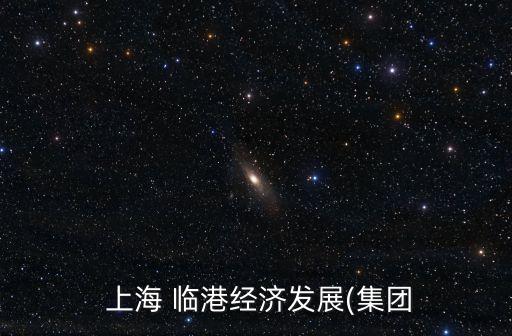 上海臨港袁國華簡歷,臨港集團(tuán)袁國華董事長