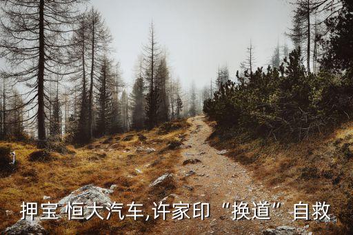 押寶 恒大汽車(chē),許家印“換道”自救
