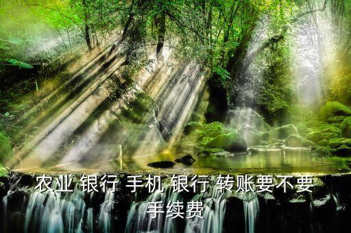農(nóng)業(yè) 銀行 手機 銀行 轉(zhuǎn)賬要不要手續(xù)費