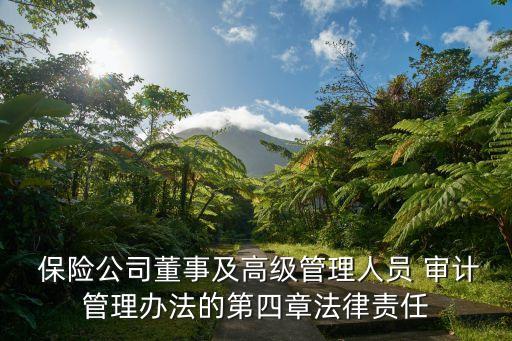  保險公司董事及高級管理人員 審計管理辦法的第四章法律責任