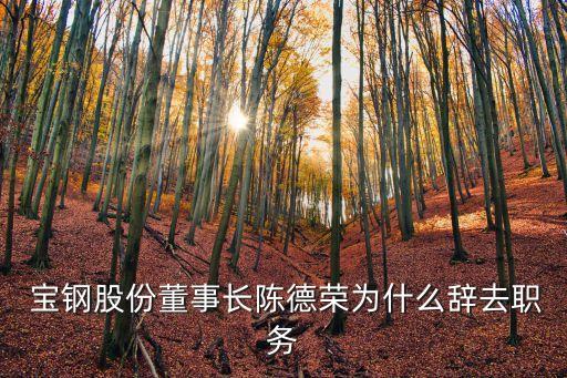  寶鋼股份董事長(zhǎng)陳德榮為什么辭去職務(wù)