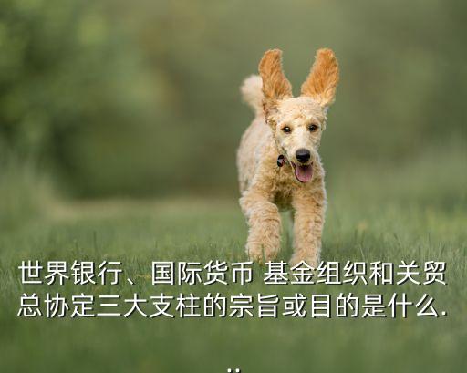 世界銀行、國際貨幣 基金組織和關(guān)貿(mào)總協(xié)定三大支柱的宗旨或目的是什么...