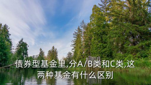 債券型基金里,分A/B類(lèi)和C類(lèi),這兩種基金有什么區(qū)別