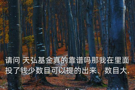 請問 天弘基金真的靠譜嗎那我在里面投了錢少數(shù)目可以提的出來、數(shù)目大...